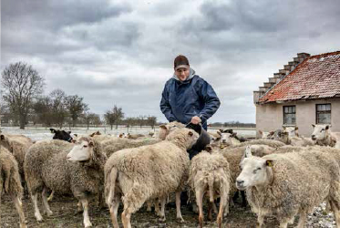 Fjallraven merinó gyapjú