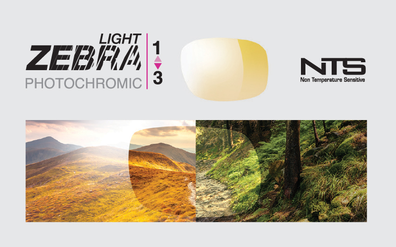 Julbo Zebra Light